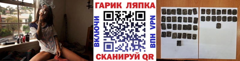 ГАШ Premium  где можно купить   МЕГА ТОР  Плёс 