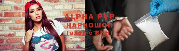 spice Верея