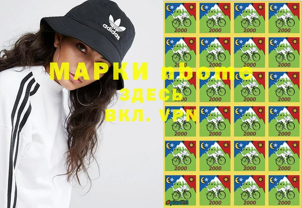 spice Верея